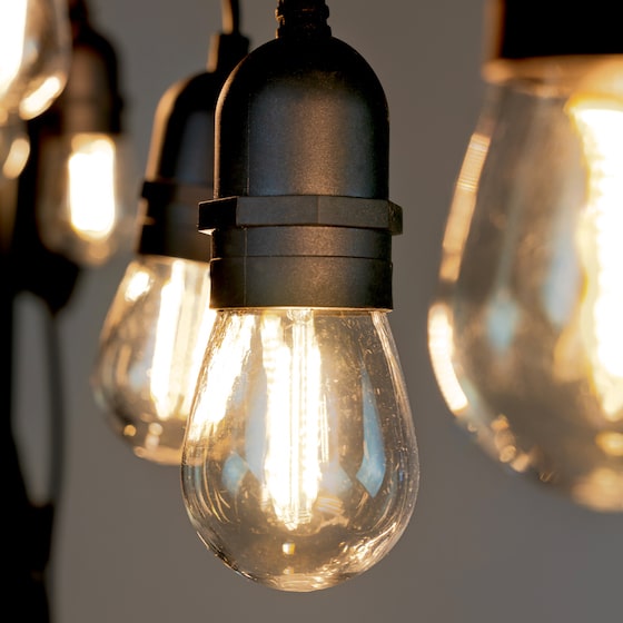 illuminated festoon light bulbs in black on white background